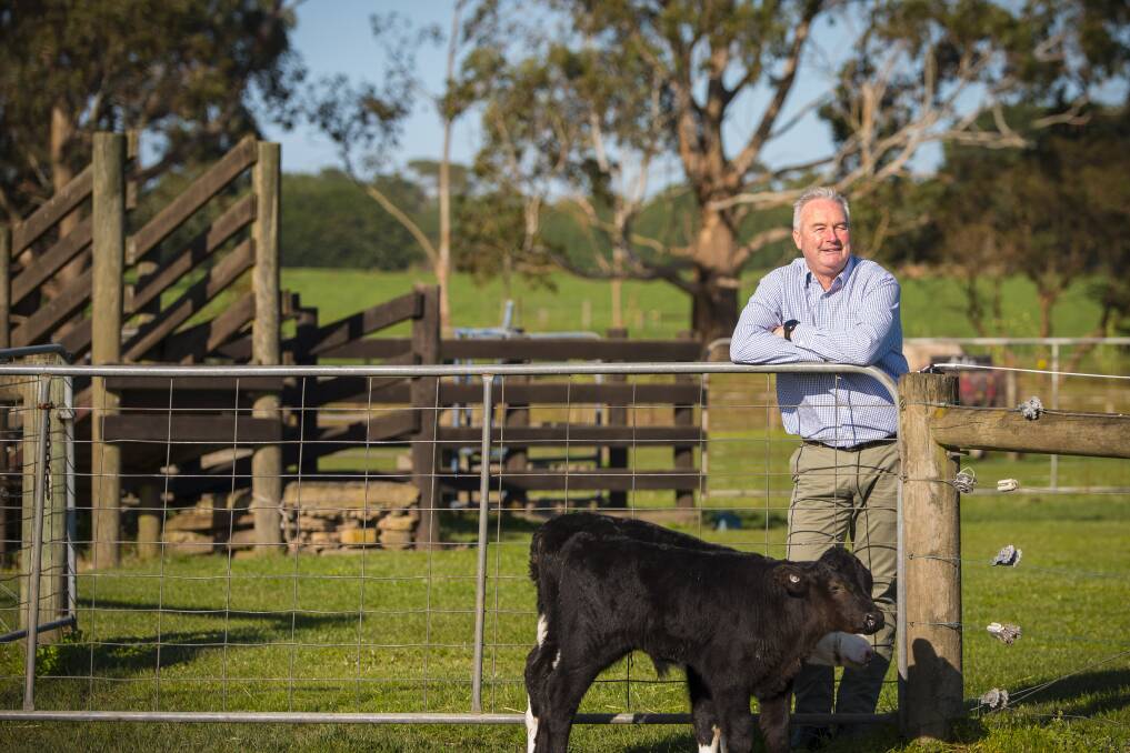 Central Ward candidate: Former dairy farmer Laurie Hickey is running for a Central Ward seat on Corangamite Shire Council. Picture: Supplied