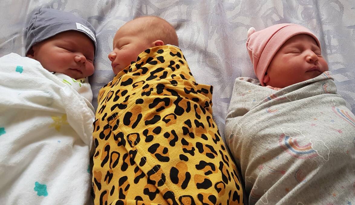 New arrivals: Winston Tesselaar, Nevada Hargreaves and Lahni Barry were born on Monday.