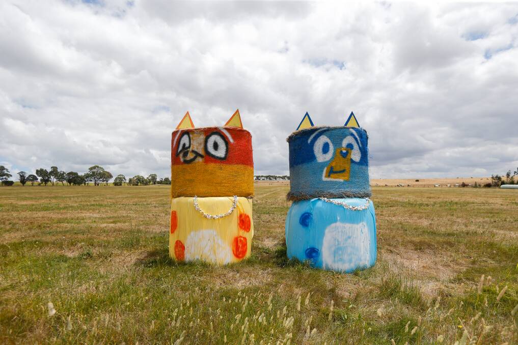 'Bingo and Bluey' in Camperdown. Picture: Anthony Brady