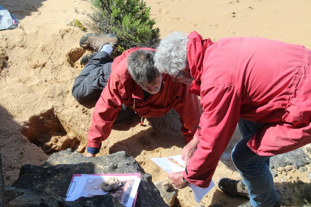 Professor Paul Goldberg and Ian McNiven inspecting a possible hearth at Moyjil, Warrnambool. 