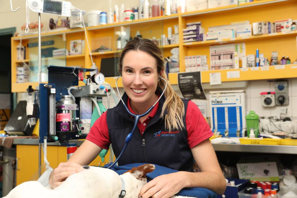 Vet: Local veterinarian Dr Ashleigh Hargreaves specialises in advanced Animal Behaviour studies.