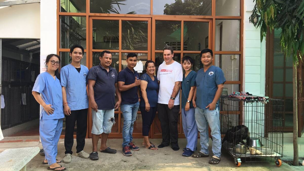 Vets Beyond Borders: Dr Blackwood at the Phnom Penh Animal Welfare Society's clinic.