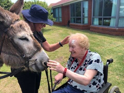 Fond memory: Outgoing CEO Jackie Kelly's favourite memory of her time at Moyne Health was a day with the aged care residents and her donkeys. 