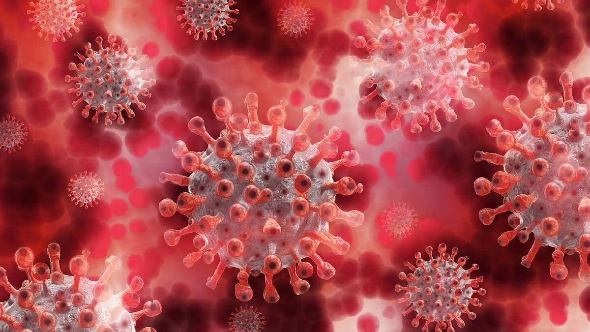 Coronavirus case cleared from Geelong