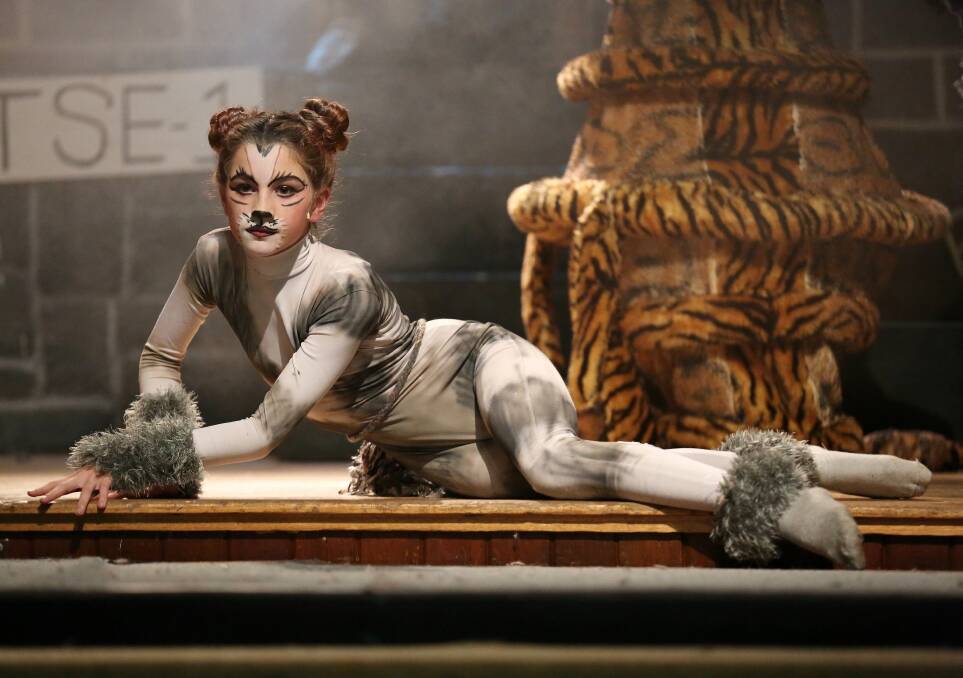 Zoe Boyden, a current cast member of CATS, in a past production of the musical by Mortlake College. Picture: Anne De Manser