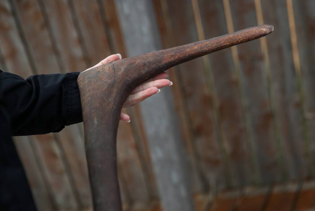 A handmade hunting boomerang which was used to hunt kangaroos and for fighting. Picture: Morgan Hancock