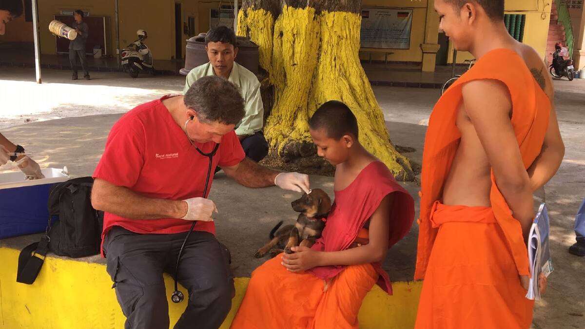 Help where needed: Dr Charlie Blackwood treats a puppy in Cambodia. 