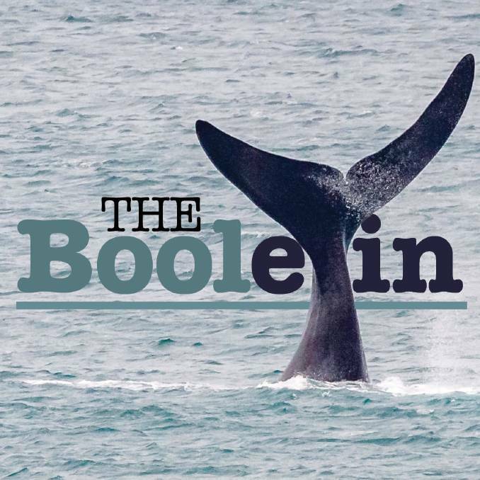PODCAST: The Booletin and Beyond