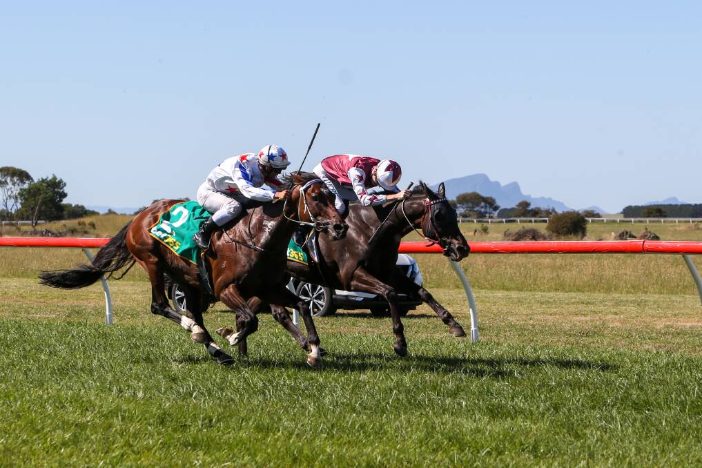 Tight Finish: #2 Finn McCool, ridden by Trent Germaine, runs home to win the Penshurst Cup in a photo finish from #1 Instrumentalist, ridden by Aaron Mitchell. Picture: Rob Gunstone