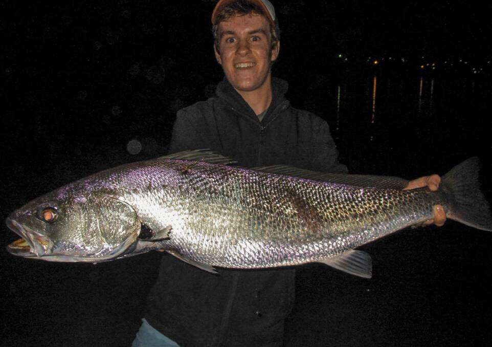 Tim Vincent recaptured the same mulloway in a similar area after 375 days. At recapture, the fish measured 102 cm. The fish grew 22 cm, one of the highest growth rates recorded.