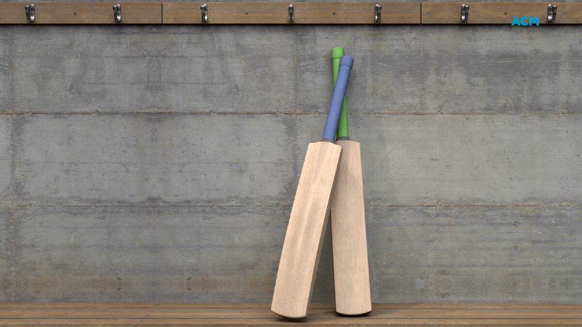 As more and more bats are sold, that means more willow trees need to be grown and felled. File picture