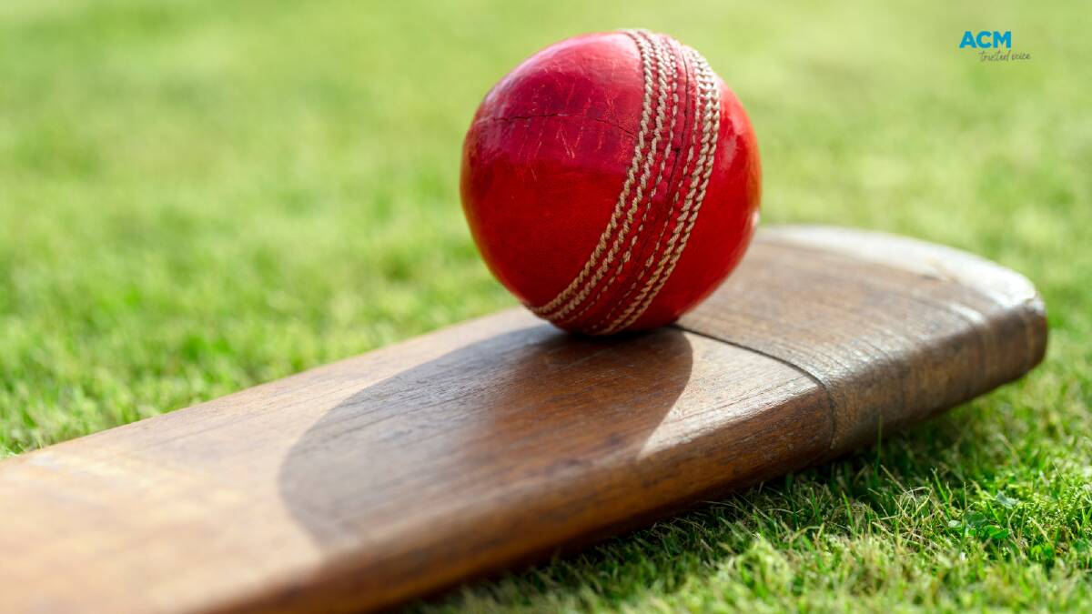 Despite synthetic materials and metals being trialled (and banned) in cricket, sustainability is something that bat makers consider vital. File picture