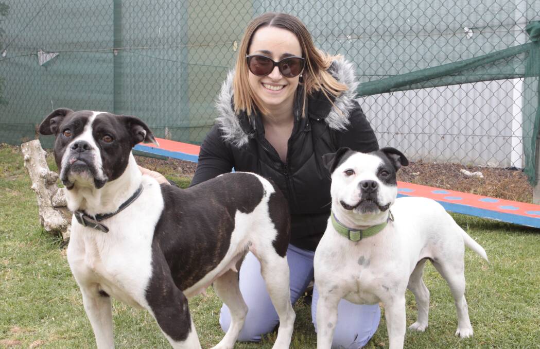Lonely no more: Long-time shelter residents Girlie and Boy were adopted by Melbourne resident Monica Place during the RSPCA Time to Go Home campaign.