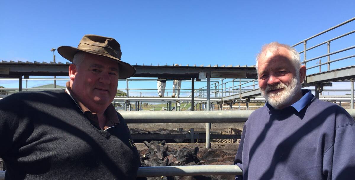 Restocking: Livestock Agent Tim Healey and Bullaharre farmer Peter Walker said market prices were very good at the November Store Cattle Sale on Friday.  
