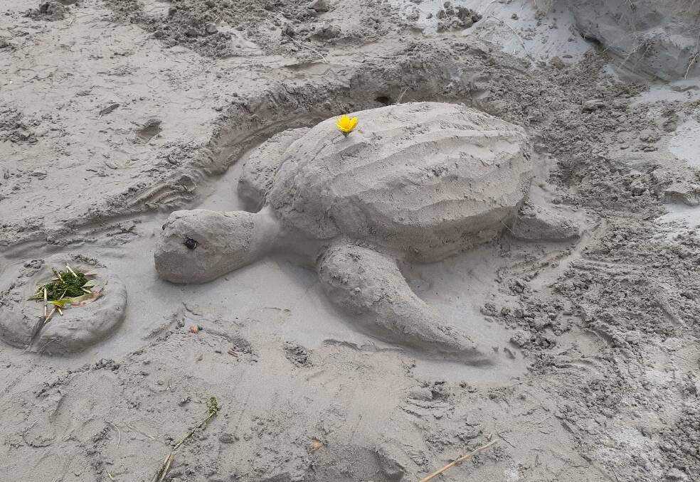 Sand Sculpture: Daisy the turtle