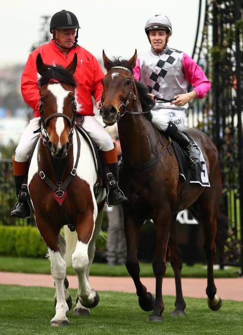 ON TRACK FOR MELBOURNE CUP: Surprise Baby ridden by Jordan Childs returns to scale after winning The Bart Cummings. PICTURE: Kelly Defina/GETTY