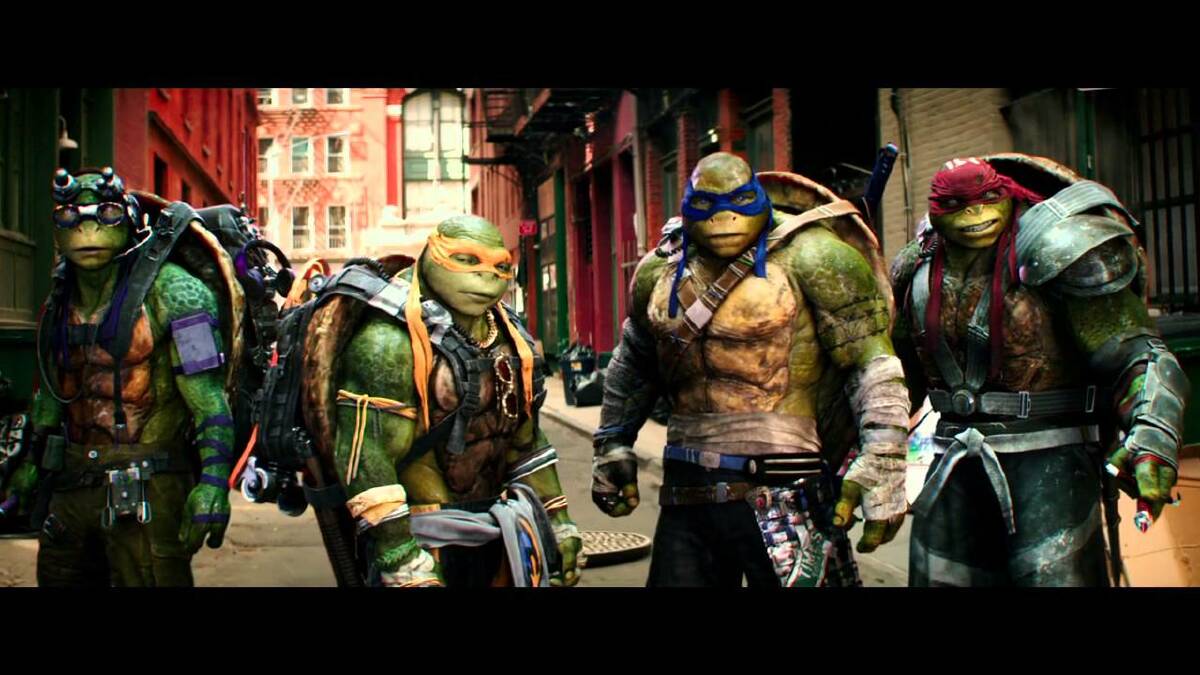 Donatello, Michelangelo, Leonardo and Raphael are back for more ninja action.