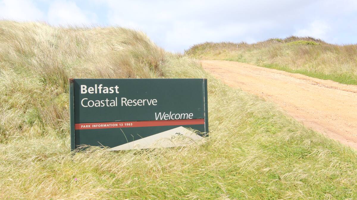 Licences for horse training in Belfast Coastal Reserve have been blocked.