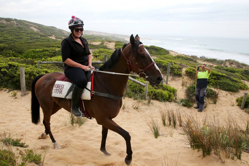 Melbourne Cup winner Prince Of Penzance in training at Levys Point.