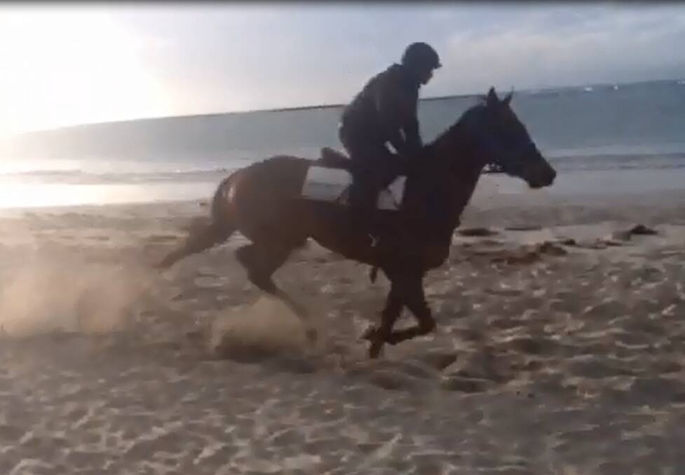 A still from a video showing a horse galloping past a beach user at Killarney.