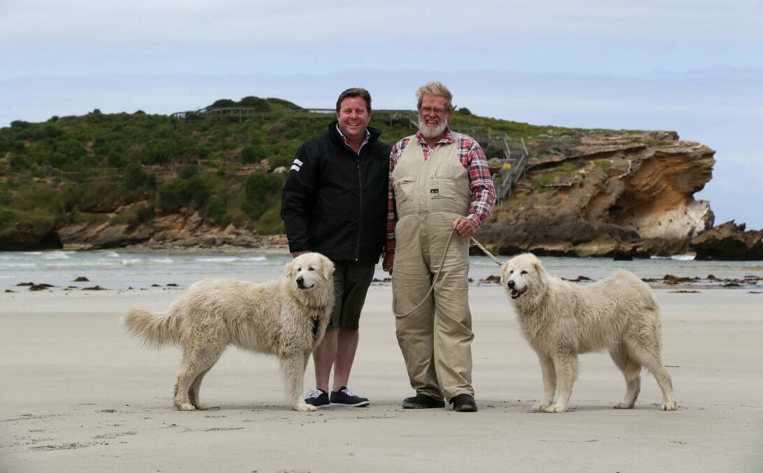 DOG DAY AFTERNOON: Shane Jacobson, who plays Swampy Marsh in Oddball, with the real-life Swampy Marsh, alongside Eudy and Tula, pictured prior to filming back in 2013. Picture: Damian White.