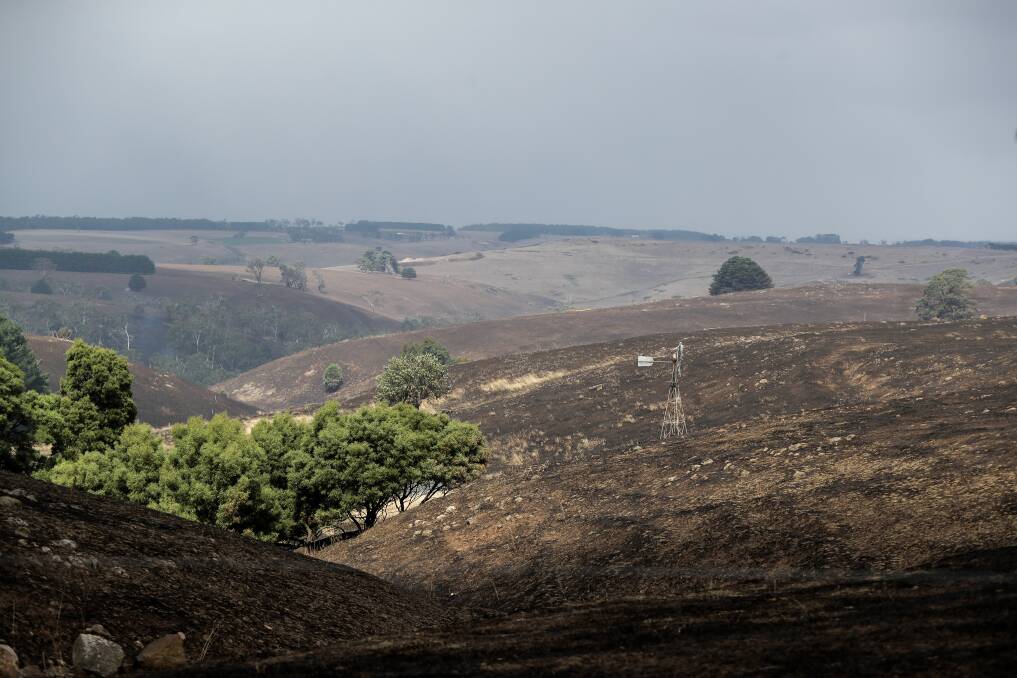 Scorched earth following the St Patrick's Day fires. Picture: Rob Gunstone