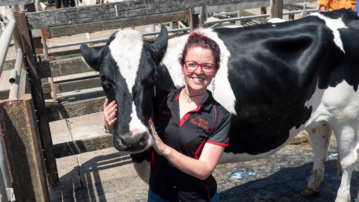 SWEET BUY: "Incredibly special" dairy heifer Fleyas Crushed Lolly with Jessa Fleming, who said she'd be looking to utilise Warrnambool's South-West Victorian Livestock Exchange again for a second stage dispersal next year.






