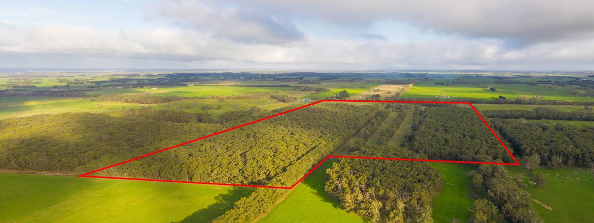 Centrally located land