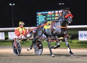Winners are grinners: Ecklin's Marg Lee trained Jilliby Nitro to a win at the $350,000 Australian Pacing Gold final group one race. 