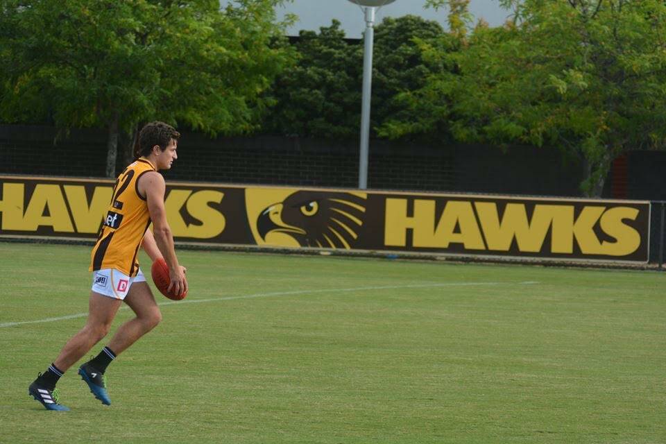 VFL experience: South Warrnambool's Paddy Anderson in action for the Box Hill Hawks last week. 