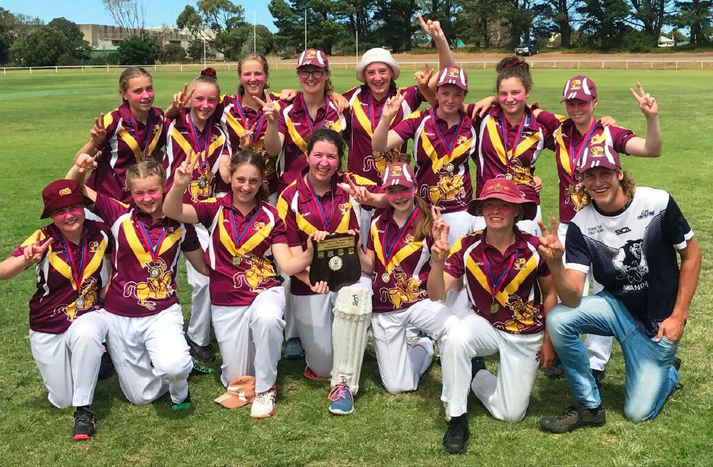 Champions: The victorious Nirranda under 17 girls' side, which defeated Nestles by six runs in the grand final. Picture: Simon Illingworth