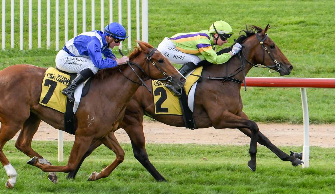 Getting ahead: Chrome Angel ridden by Jamie Kah wins the VOBIS Gold Strike at Warrnambool Racecourse. Picture: Pat Scala/Racing Photos