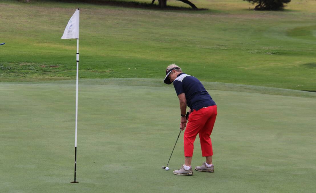 Focused: Alison Sinclair putts on the final hole of the Warrnambool Golf Club women's championships on Wednesday. Picture: Brian Allen