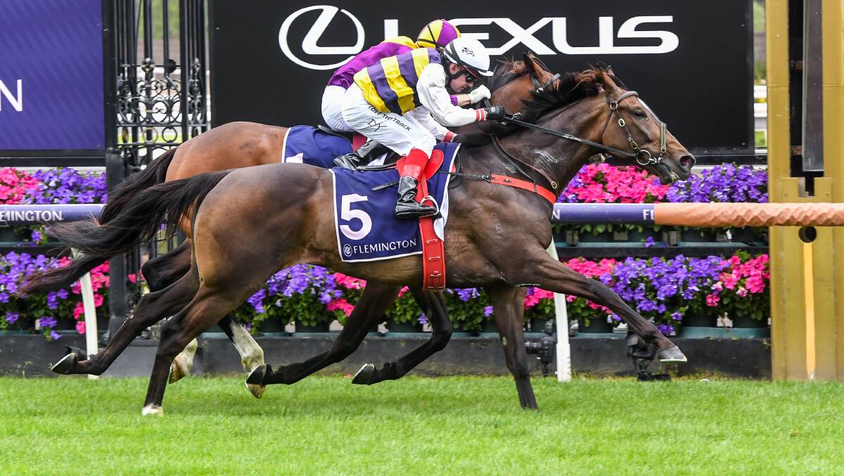 HANGING ON: Seawhatyouthink, ridden by Dean Yendall, wins at Flemington Racecourse on Saturday. Picture: Brett Holburt/Racing Photos