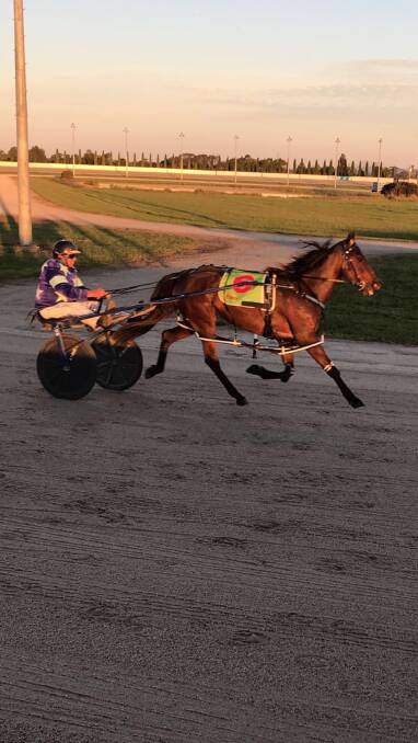 First win: Trainer and driver Ian Stanley guides Surfsup Tigerpie to victory on Monday night at Terang.