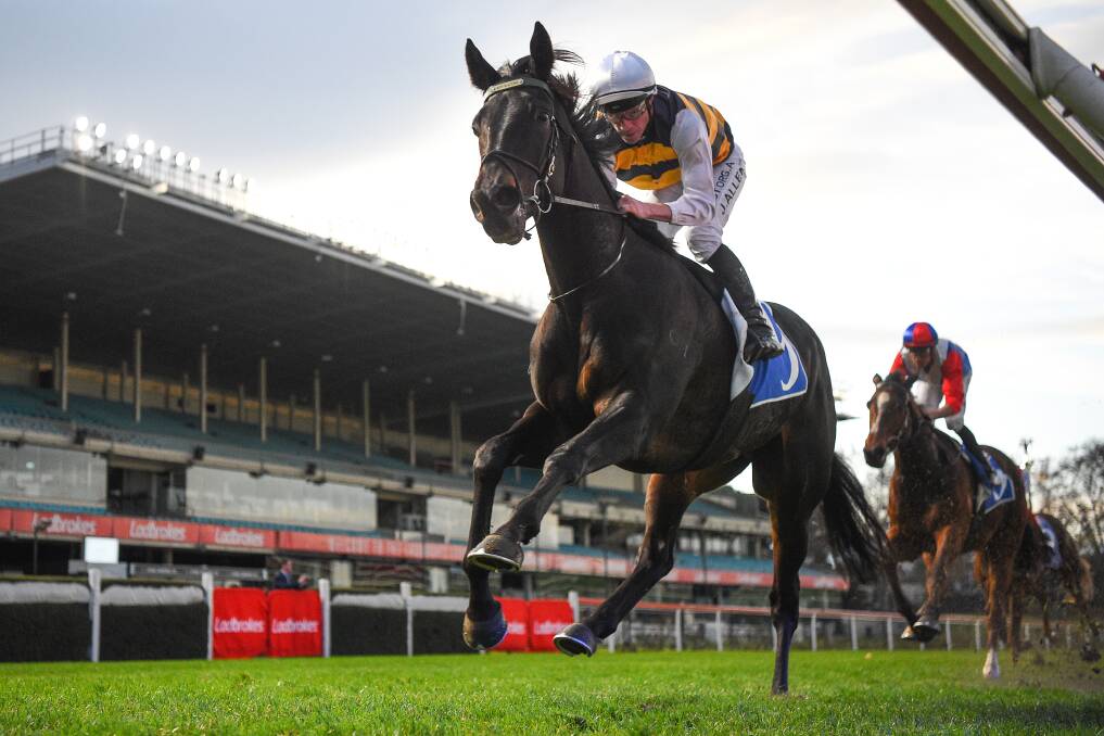 In front: Harbour Views (FR) ridden by John Allen wins the Inglis July Sales Series Handicap at Moonee Valley Racecourse on Saturday. Picture: Pat Scala/Racing Photos