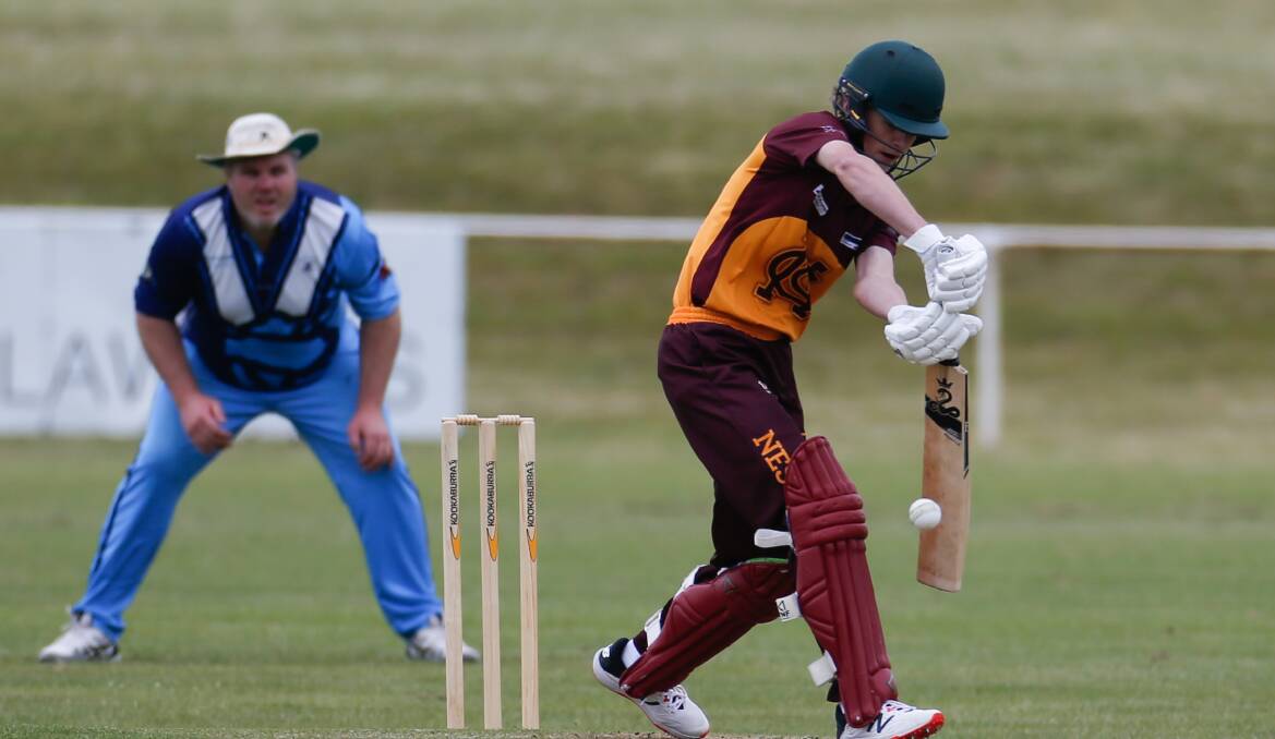 YOUNG GUN: Nestles' Wil Hinkely finds the middle of the bat. Picture: Emma Stapleton