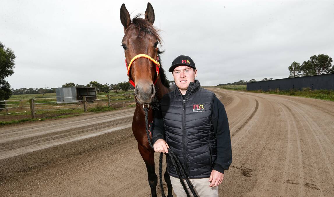 At home: Trainer Paddy Lee with Jilliby Retro ahead of Friday night's harness racing meet at Terang. Here they are at Paddy's south Ecklin property. Picture: Anthony Brady