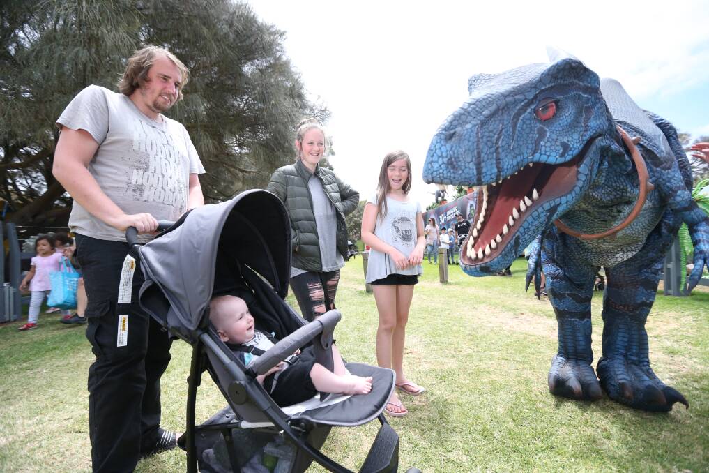 Watch out: Blue the dinosaur bares its teeth to Odysseus Gray, seven months from Ballarat, at the Jurassic Creatures exhibition. The attraction has been running for the past week at Lake Pertobe. Pictures: Michael Chambers.