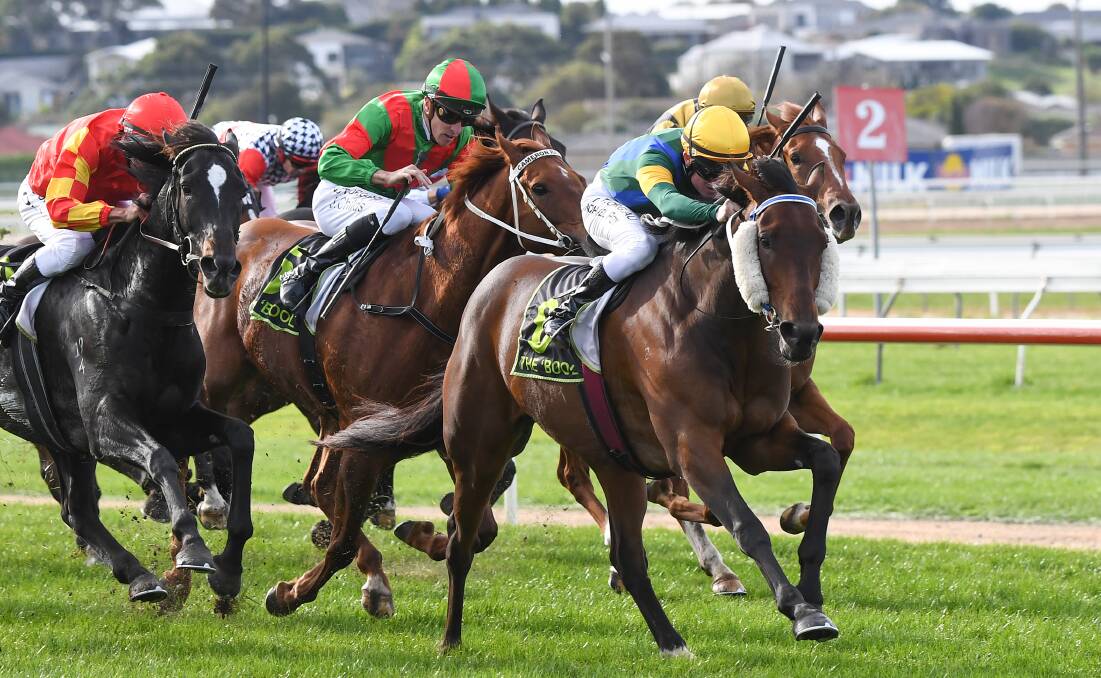 In the lead: Hostar ridden by Michael Poy wins the Neville Wilson Series Final at Warrnambool Racecourse. Picture: Pat Scala/Racing Photos