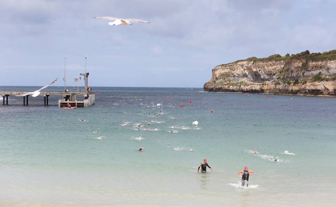 Scenic: Competitors come back towards the shore during the 2020 Port Campbell swim. Picture: Mark Witte