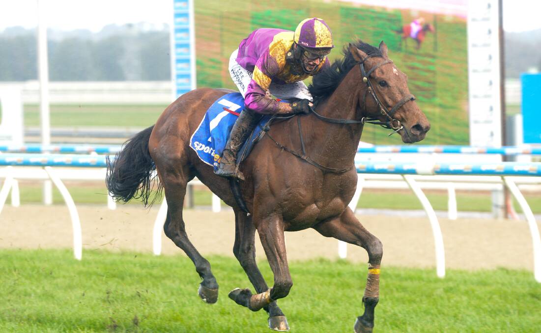Victory: Instigator ridden by Lee Horner wins the Ecycle Solutions JJ Houlahan Hurdle at Sportsbet-Ballarat Racecourse on Sunday. Picture: Ross Holburt/Racing Photos