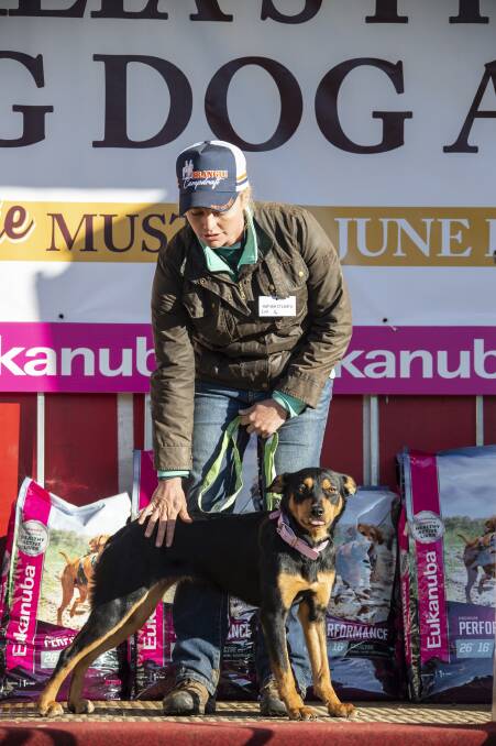 TOP-PRICE DOG: Dubbo, NSW, trainer Kahlee O'Leary and Hazeldell Kimmy, a 33-month old black and tan bitch, which sold for $27,000. Photo supplied.