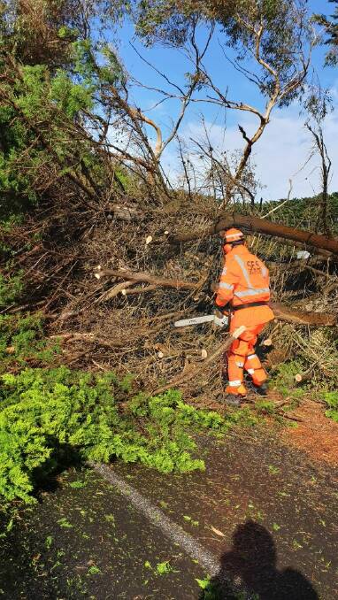 HELP: A Warrnambool SES volunteer clears a tree off Wangoom Road on Saturday afternoon. Picture: Supplied
