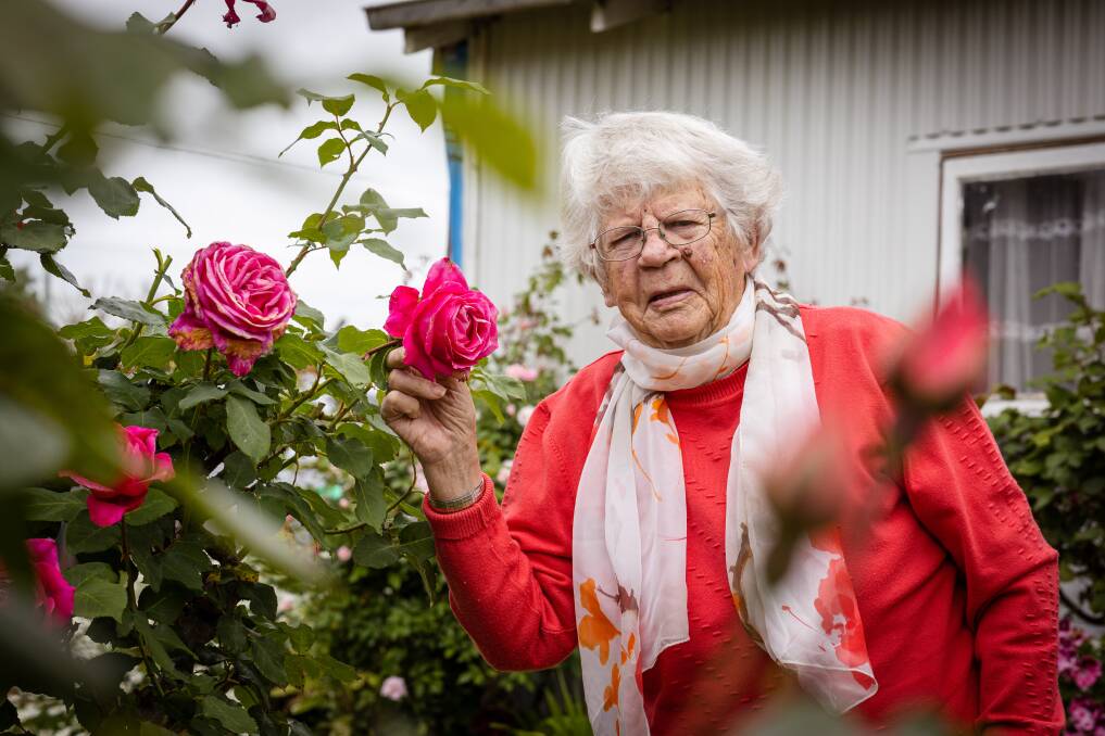 Mortlake Rae Risk is 93 and loves her garden, she's been the overall winner in the Mortlake Roses Show 10 times in a 20 year period. Picture by Sean McKenna.