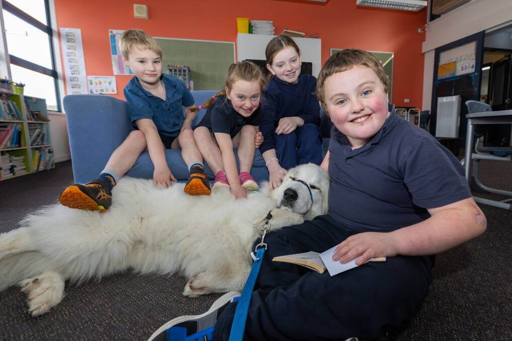 Gracchus, the reading dog from Animal Assisted Interventions with Panmure Primary School students (L-R) Kyle Dowlin (7), Hayley Halliday (6), Kirralee Moore (9) and Thomas Halliday (8). Picture by Eddie Guerrero