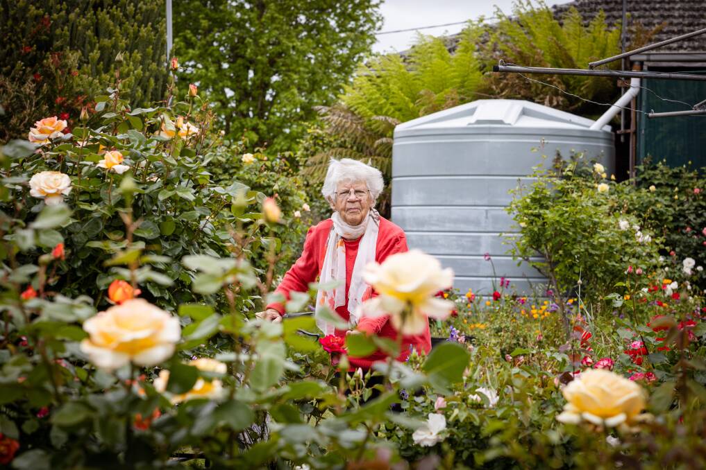 Mortlake Rae Risk is 93 and loves her garden, she's been the overall winner in the Mortlake Roses Show 10 times in a 20 year period. Picture by Sean McKenna.