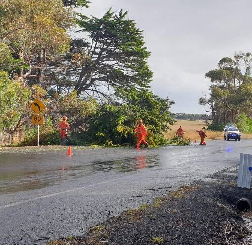 SAFE: SES volunteers work to clear a tree on Wangoom Road on Saturday. Picture: Supplied