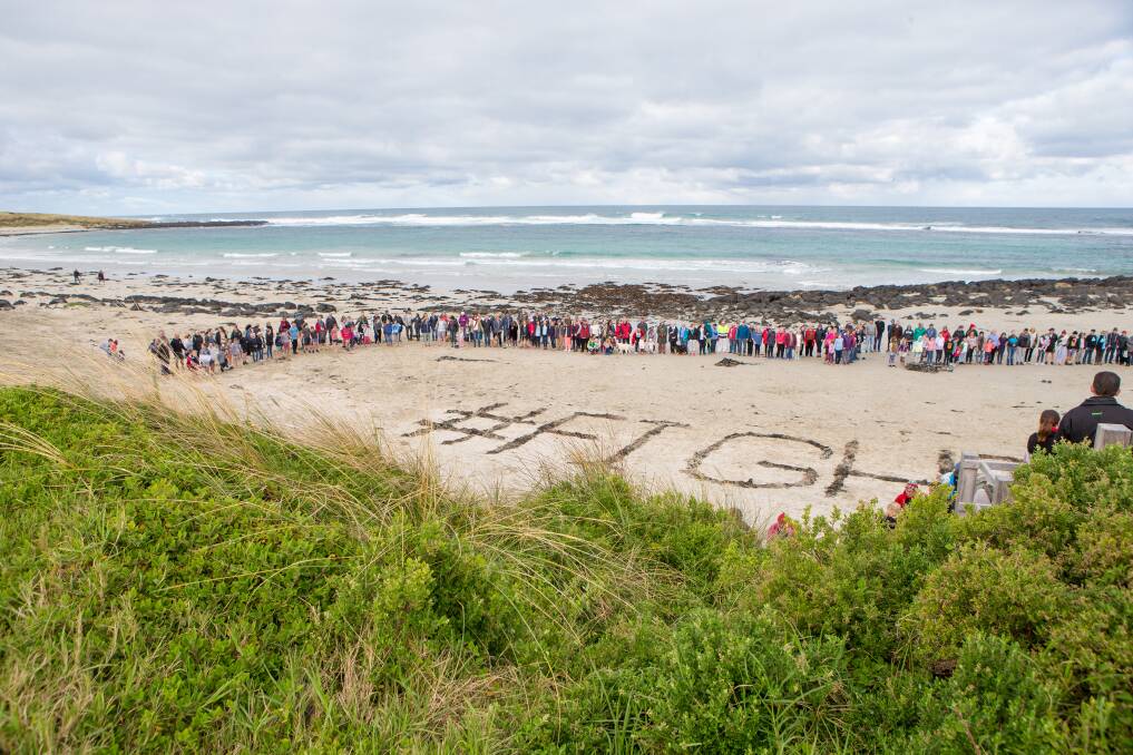 Lonely figure: A dead seal will be left to decompose on Port Fairy's South Beach near where a Hands Across the Sand event was held in May. Picture: Christine Ansorge