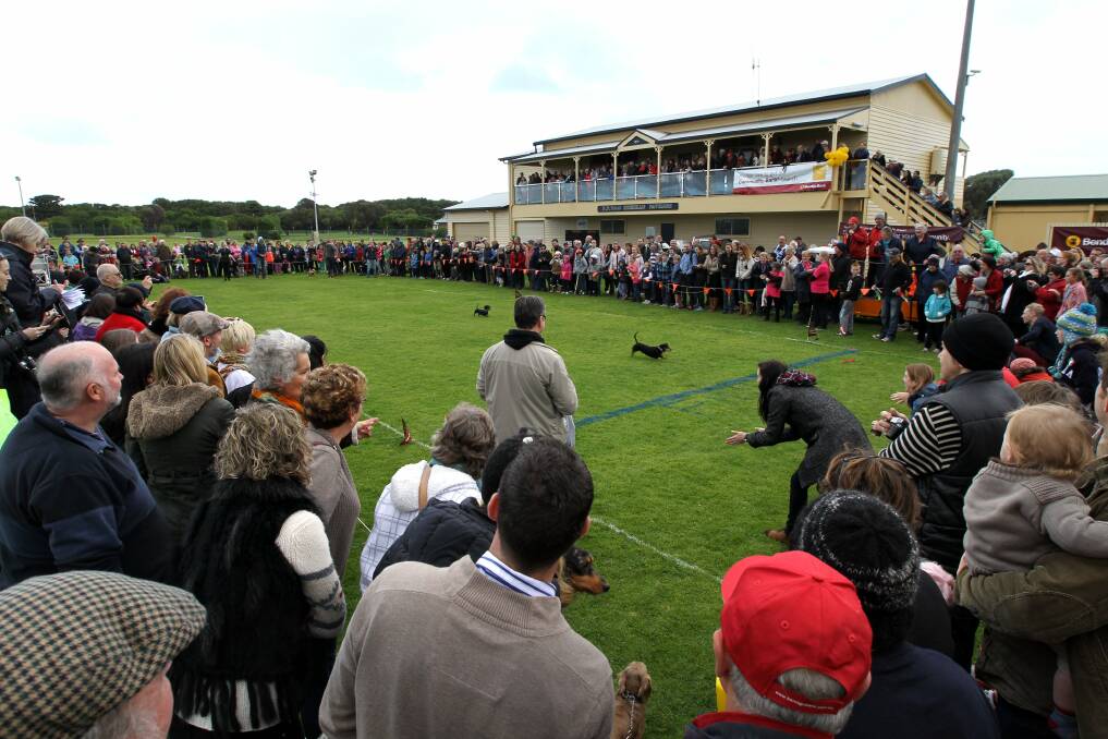 Valued: Moyne Shire residents are encouraged to fill in a survey to share their views on open spaces within the shire. Pictured is the Dachshund Dash at Southcombe Park which is a popular feature of the Winter Weekends program.